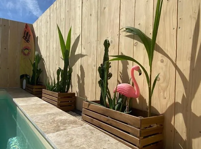 Mas des Oliviers, maison avec piscine privative et chauffée LOCAMARGUE Les Les Saintes-Maries-de-la-Mer